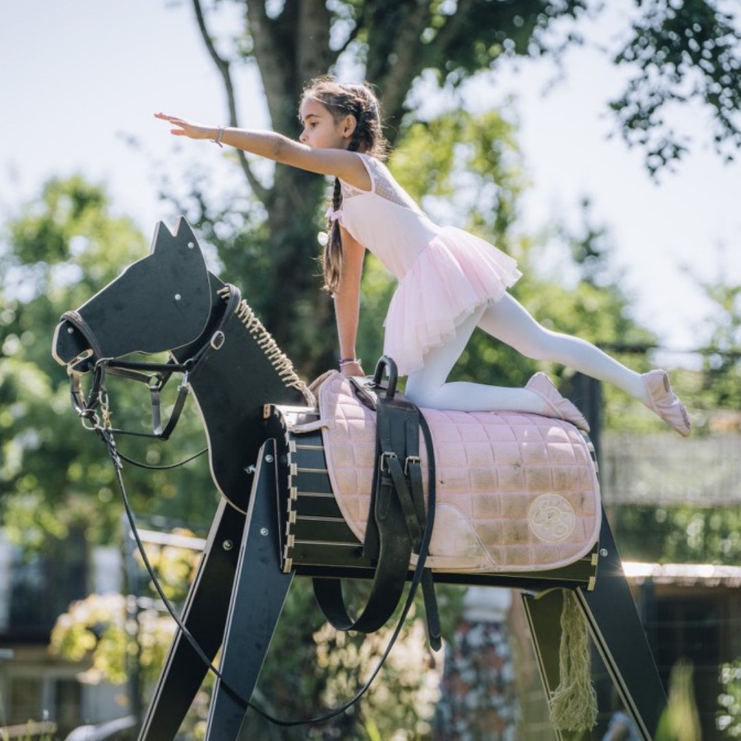 ferdi - dein Lieblings-Holzpferd