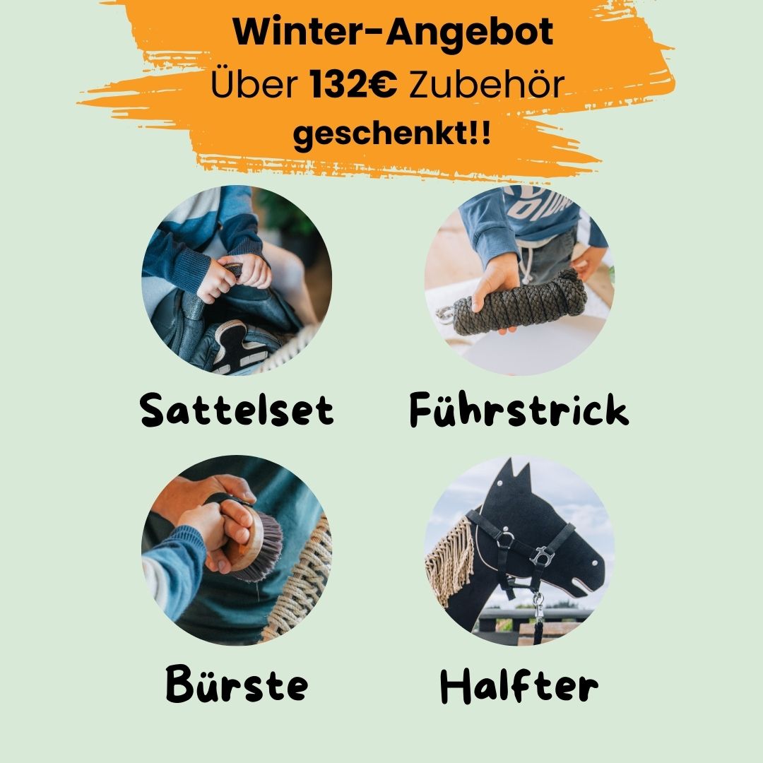 ferdi - dein Lieblings-Holzpferd