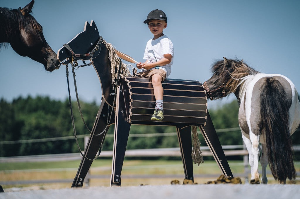 Junge reitet tolles Holzpferd ferdi auf Reitplatz und wird von zwei echten Pferden begrüßt
