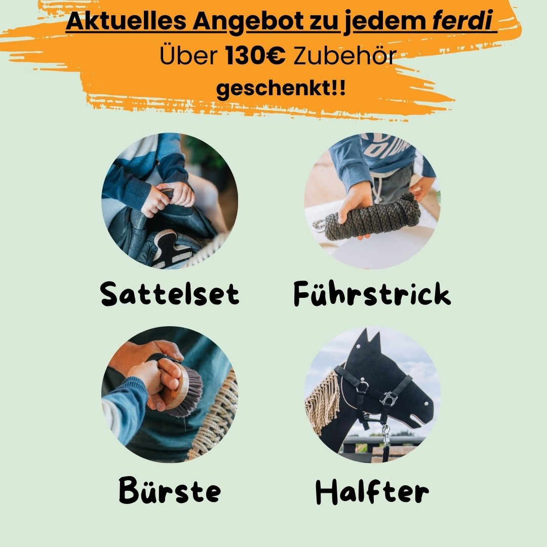 ferdi's Sattelset (schwarz)
