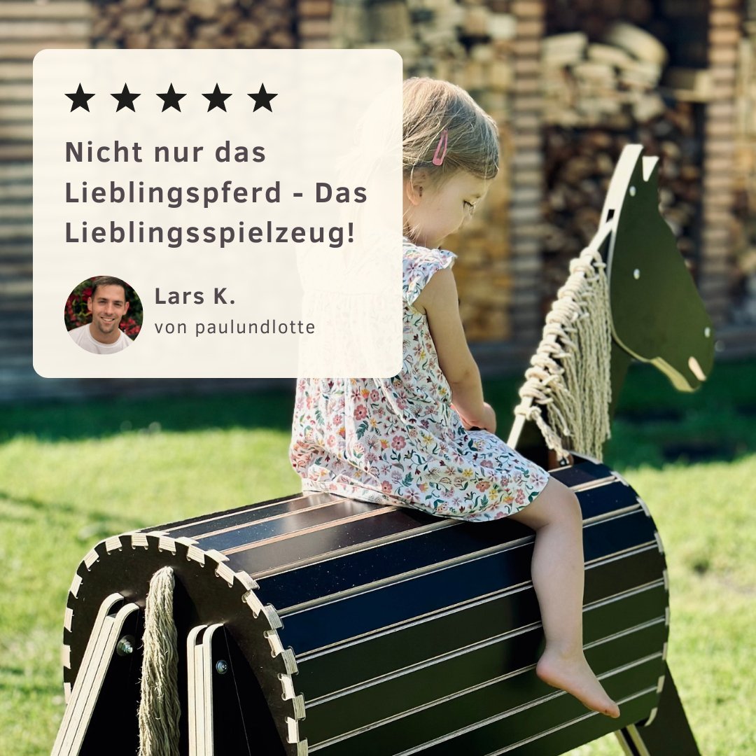 ferdi - dein Lieblings-Holzpferd
